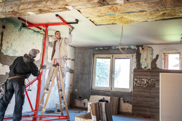 Best Insulation Installation Services in Langdon, ND
